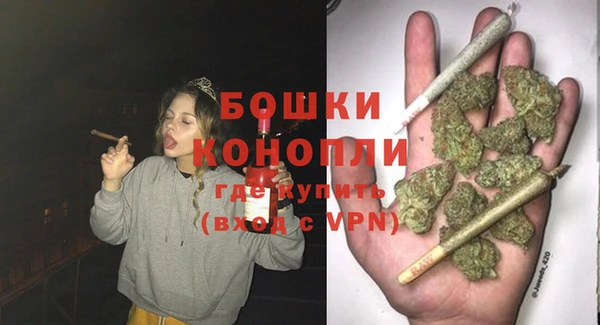 индика Богородск