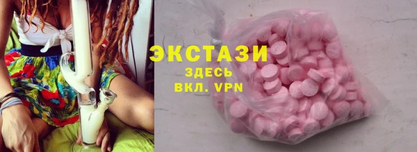индика Богородск
