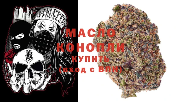 индика Богородск