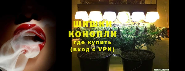 PSILOCYBIN Богданович