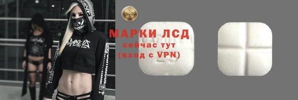 индика Богородск