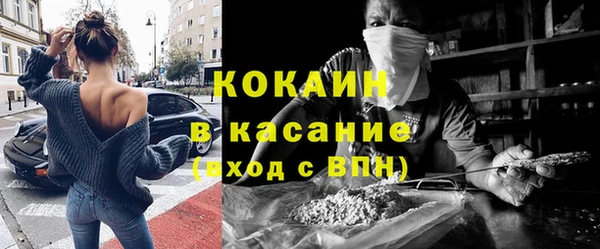 PSILOCYBIN Богданович
