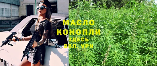 индика Богородск